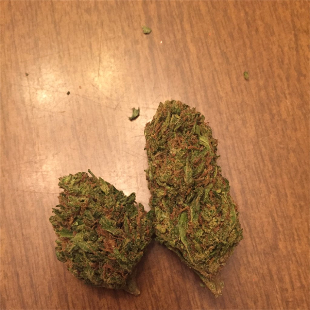 Northern Wreck marijuana strain flower with earthy and pine flavor and relaxed / tingly effects - Rare Harvest indica