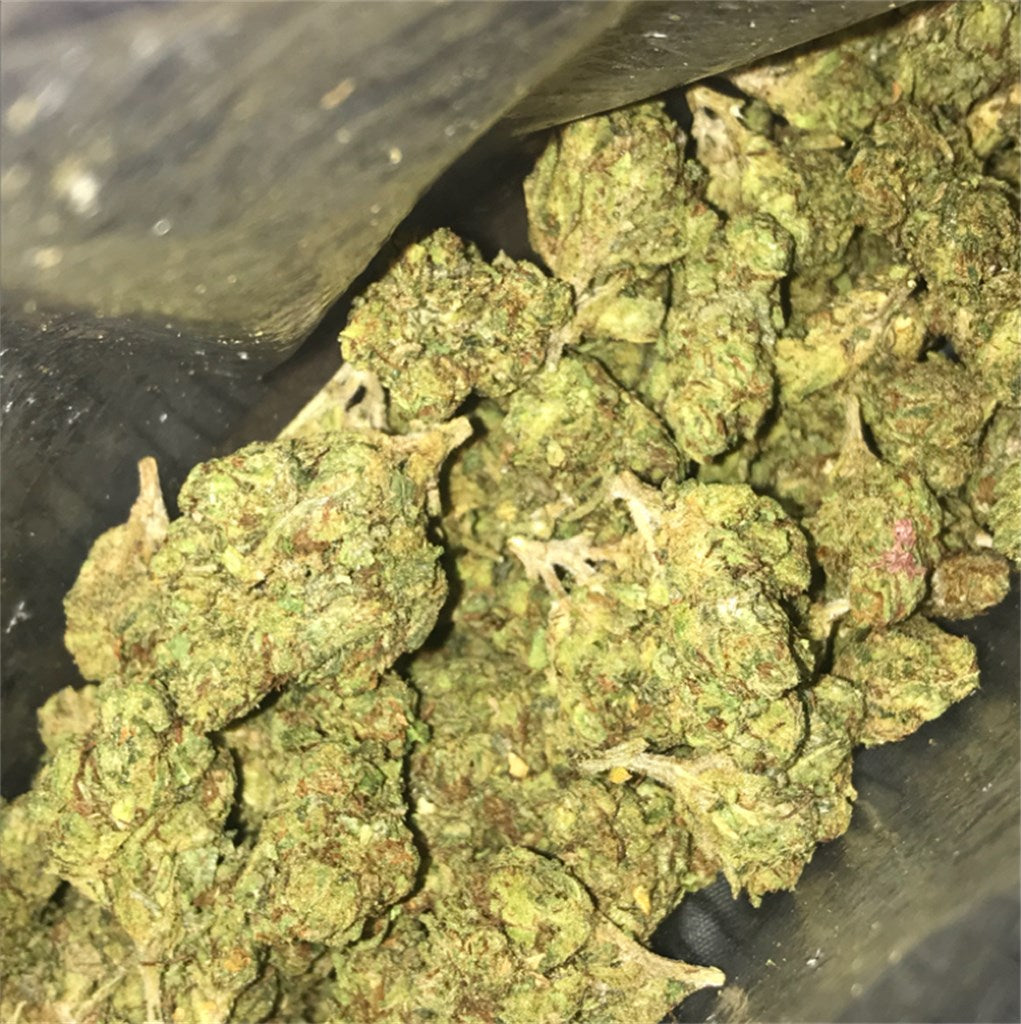 Nova marijuana strain flower with blue cheese and berry flavor and euphoric / creative effects - Rare Harvest indica