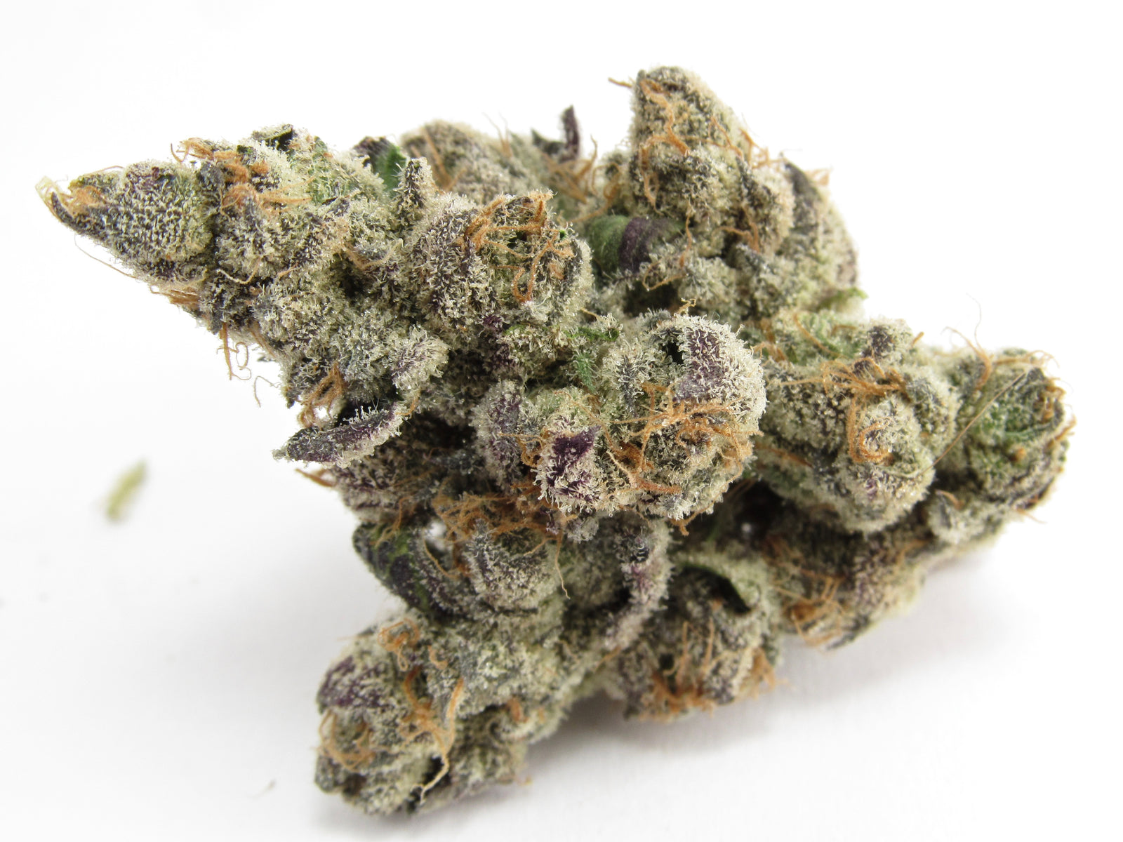 Georgia Apple Pie marijuana strain flower with apple flavor and uplifted / happy effects - Rare Harvest hybrid