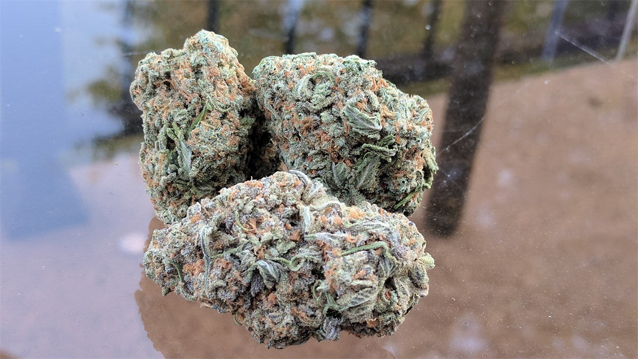 Nuken marijuana strain flower with woody and earthy flavor and relaxed / sleepy effects - Rare Harvest indica