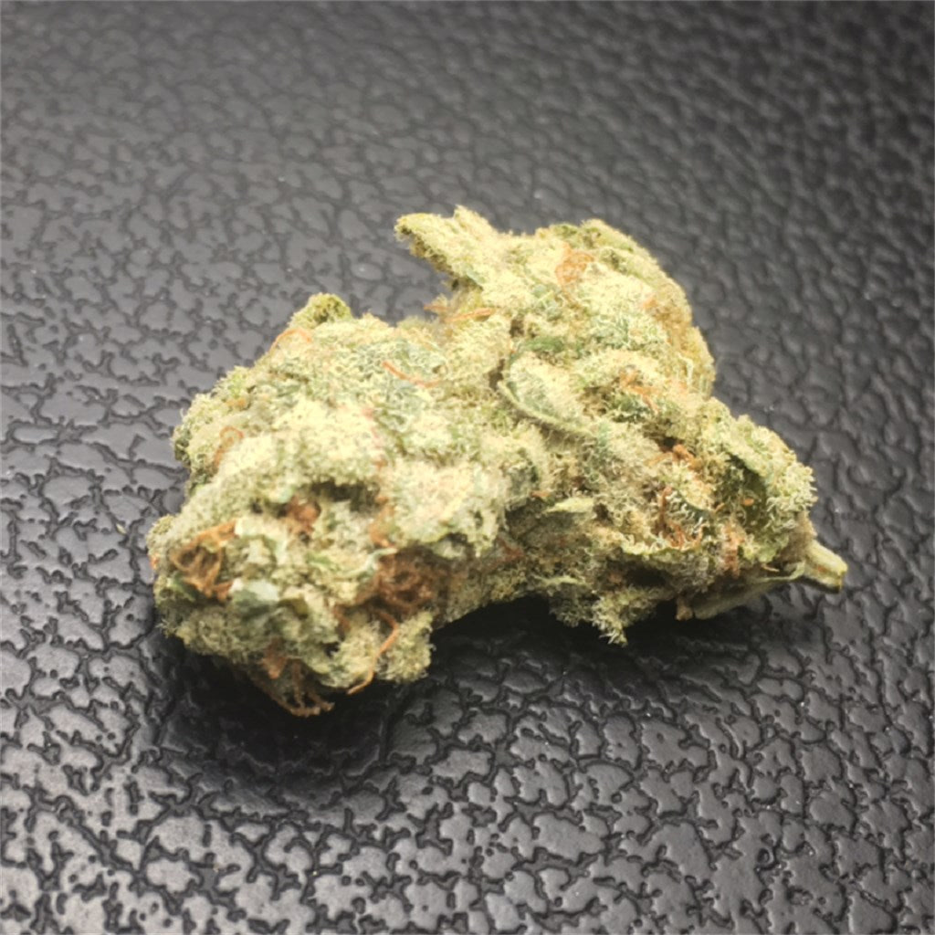 NY Cheese marijuana strain flower with cheese and blue cheese flavor and creative / energetic effects - Rare Harvest hybrid