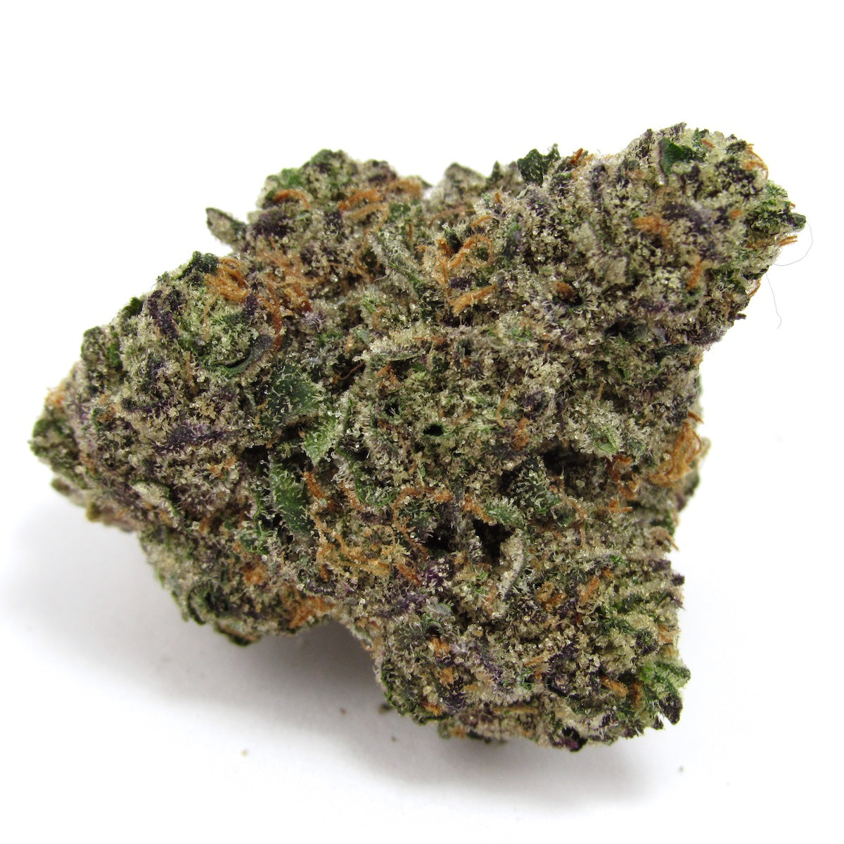 Gastro Pop marijuana strain flower with apple and pepper flavor and aroused / relaxed effects - Rare Harvest hybrid