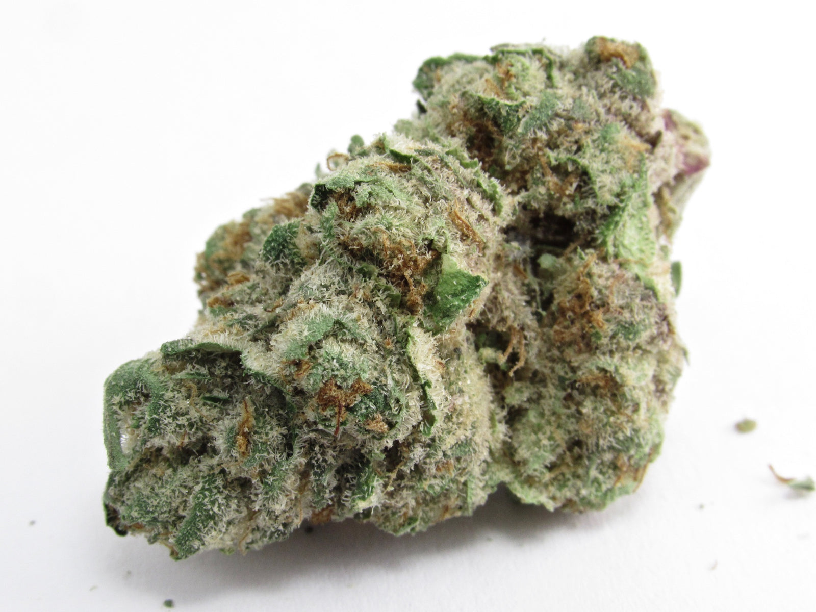 Dawg Breath marijuana strain flower with blue cheese and ammonia flavor and energetic / uplifted effects - Rare Harvest hybrid