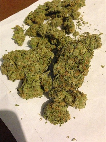 OCD marijuana strain flower with earthy and woody flavor and creative / energetic effects - Rare Harvest sativa