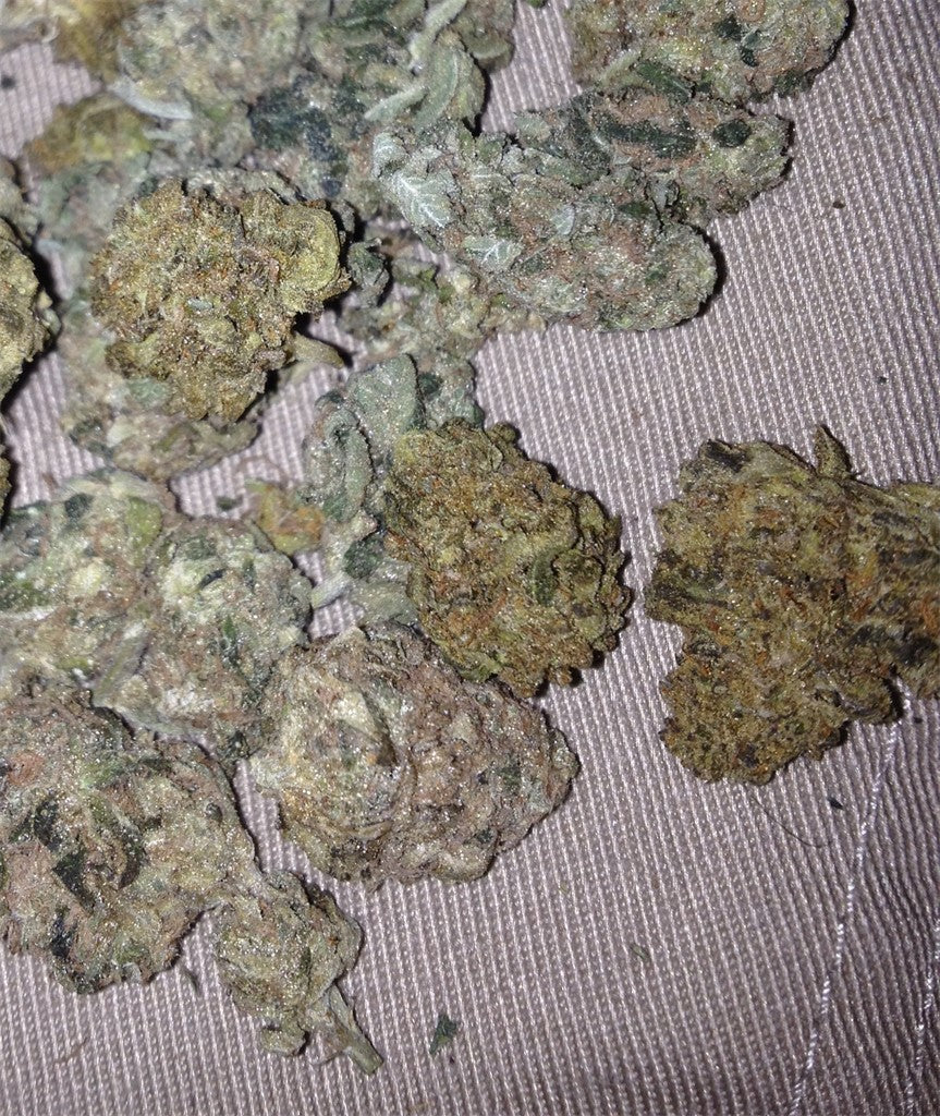 Eddy Lepp marijuana strain flower with tropical flavor and energetic / creative effects - Rare Harvest indica