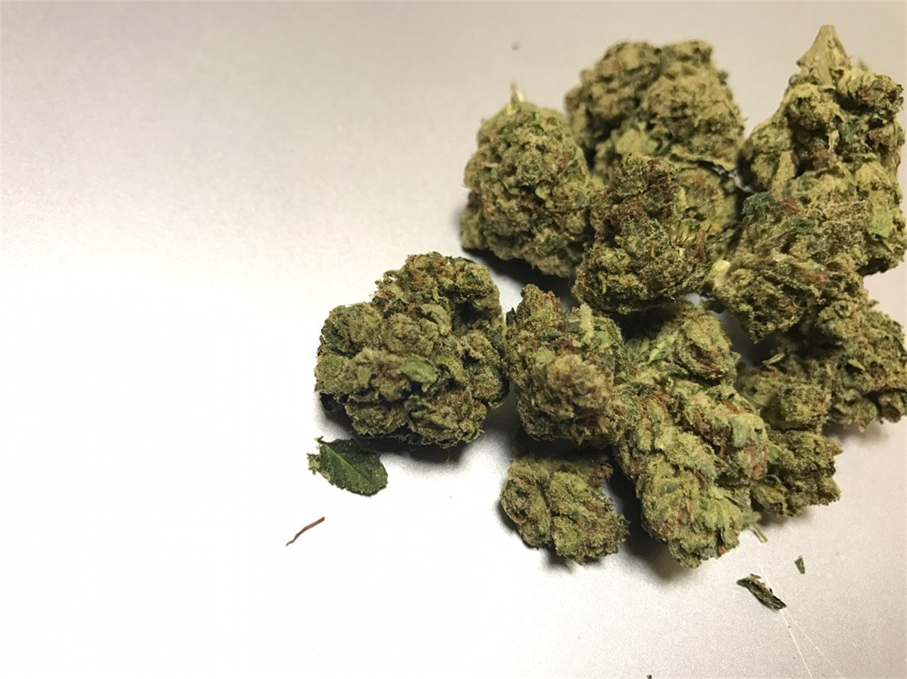 OG Poison marijuana strain flower with chemical and pungent flavor and sleepy / hungry effects - Rare Harvest hybrid