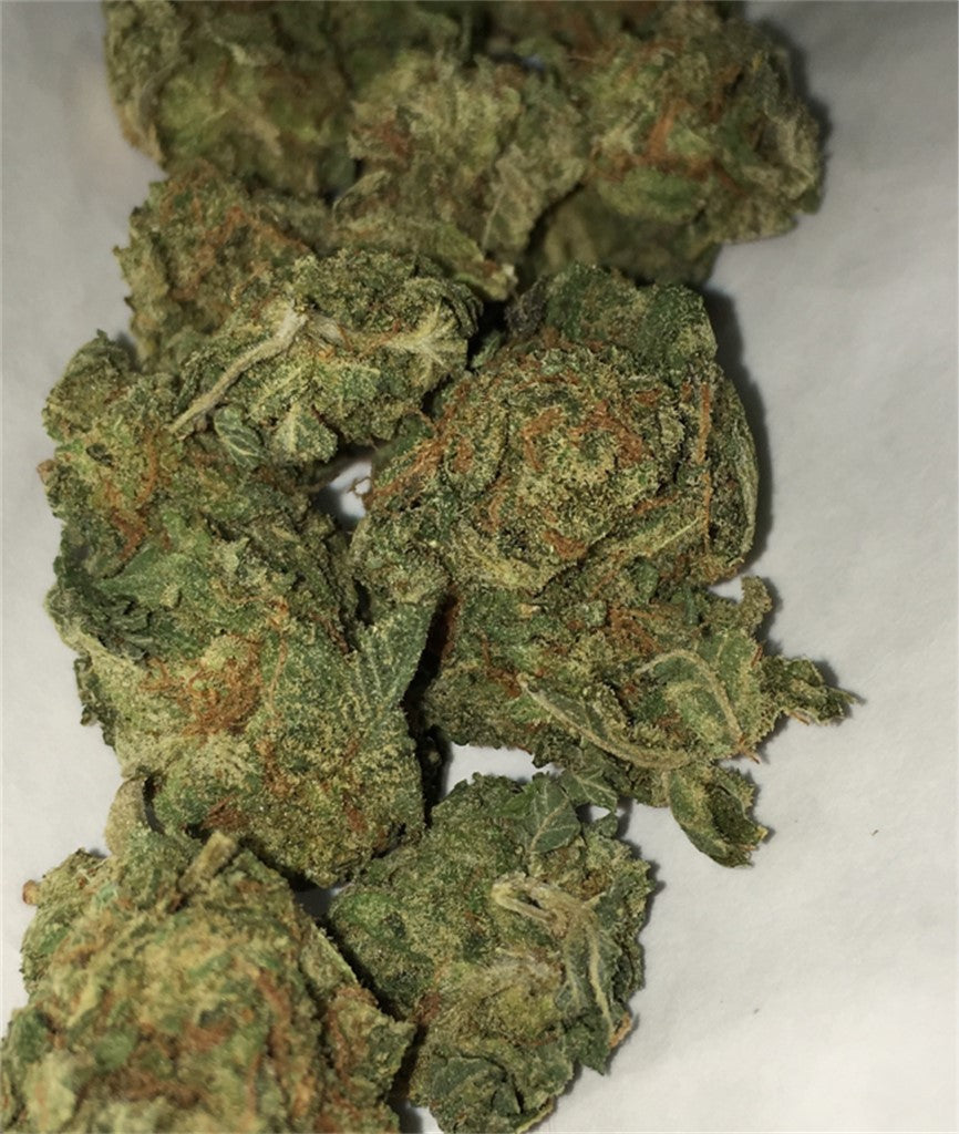 OG Ringo marijuana strain flower with pine and lemon flavor and uplifted / creative effects - Rare Harvest hybrid