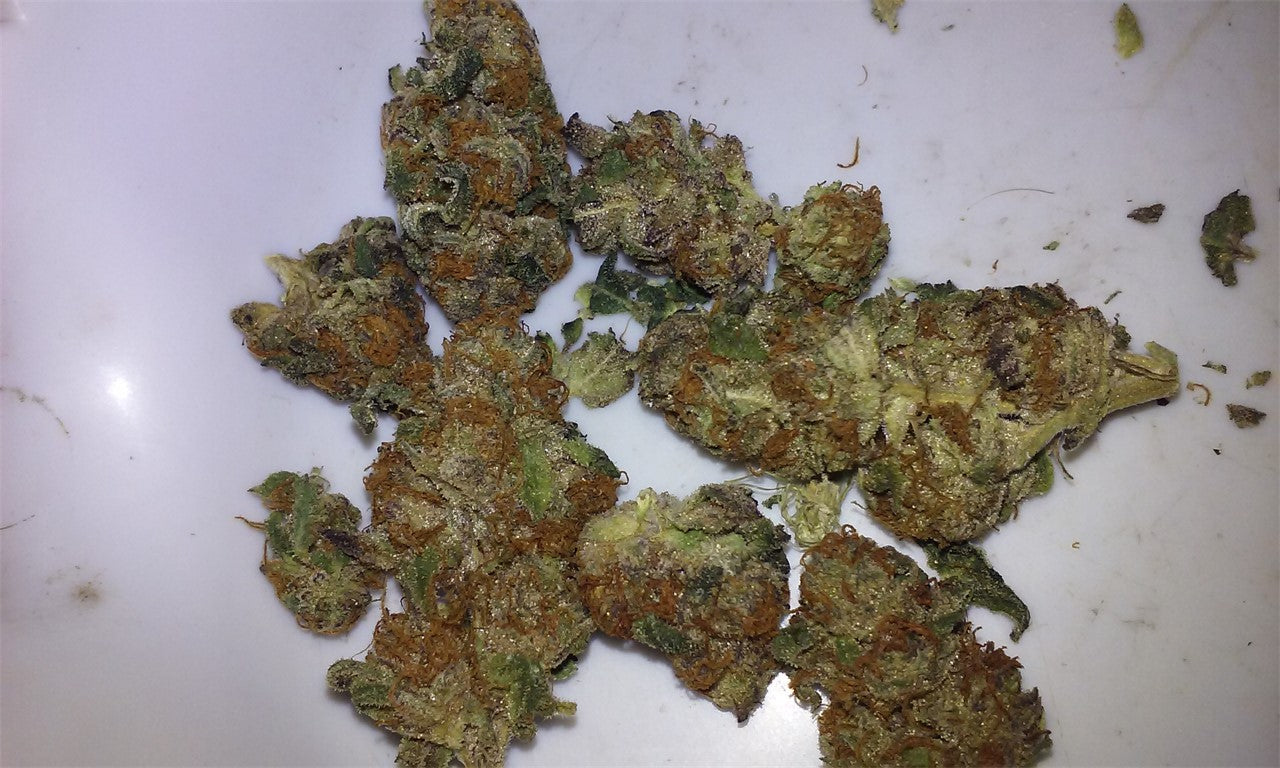 OG's Pearl marijuana strain flower with earthy and pungent flavor and sleepy / happy effects - Rare Harvest indica