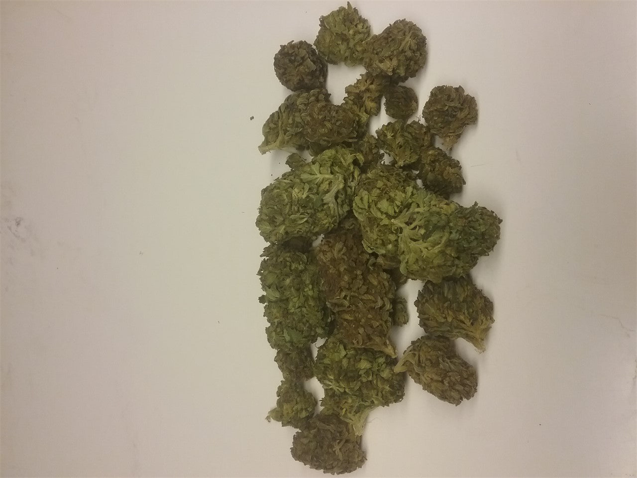 OG Skunk marijuana strain flower with skunk and woody flavor and aroused / happy effects - Rare Harvest hybrid