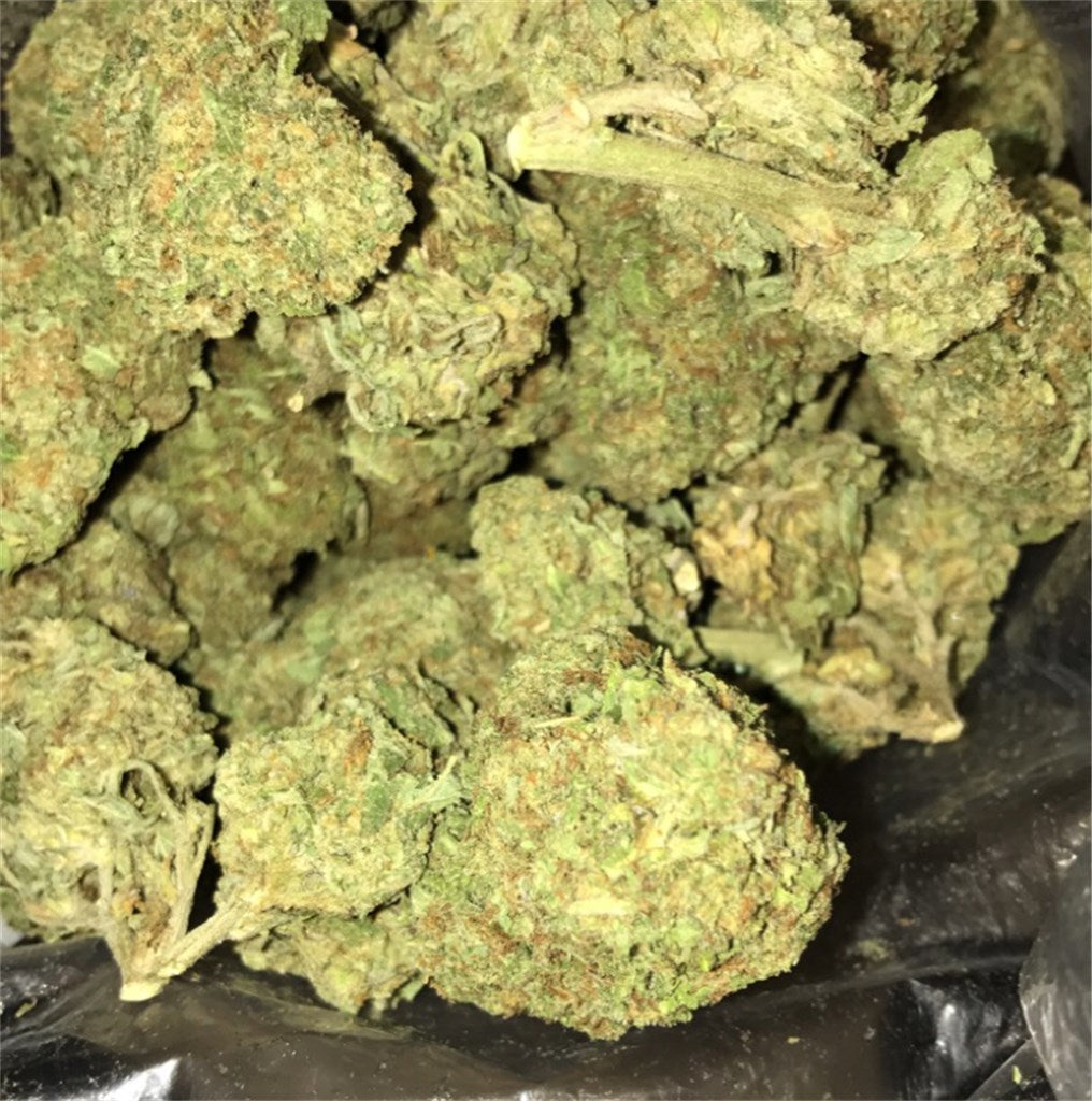 OG Trainwreck marijuana strain flower with skunk and sweet flavor and euphoric / energetic effects - Rare Harvest hybrid