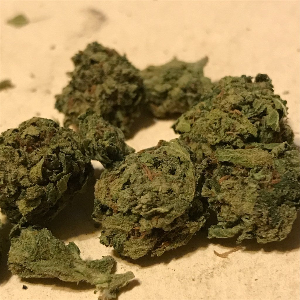 OGiesel marijuana strain flower with diesel and earthy flavor and euphoric / happy effects - Rare Harvest hybrid