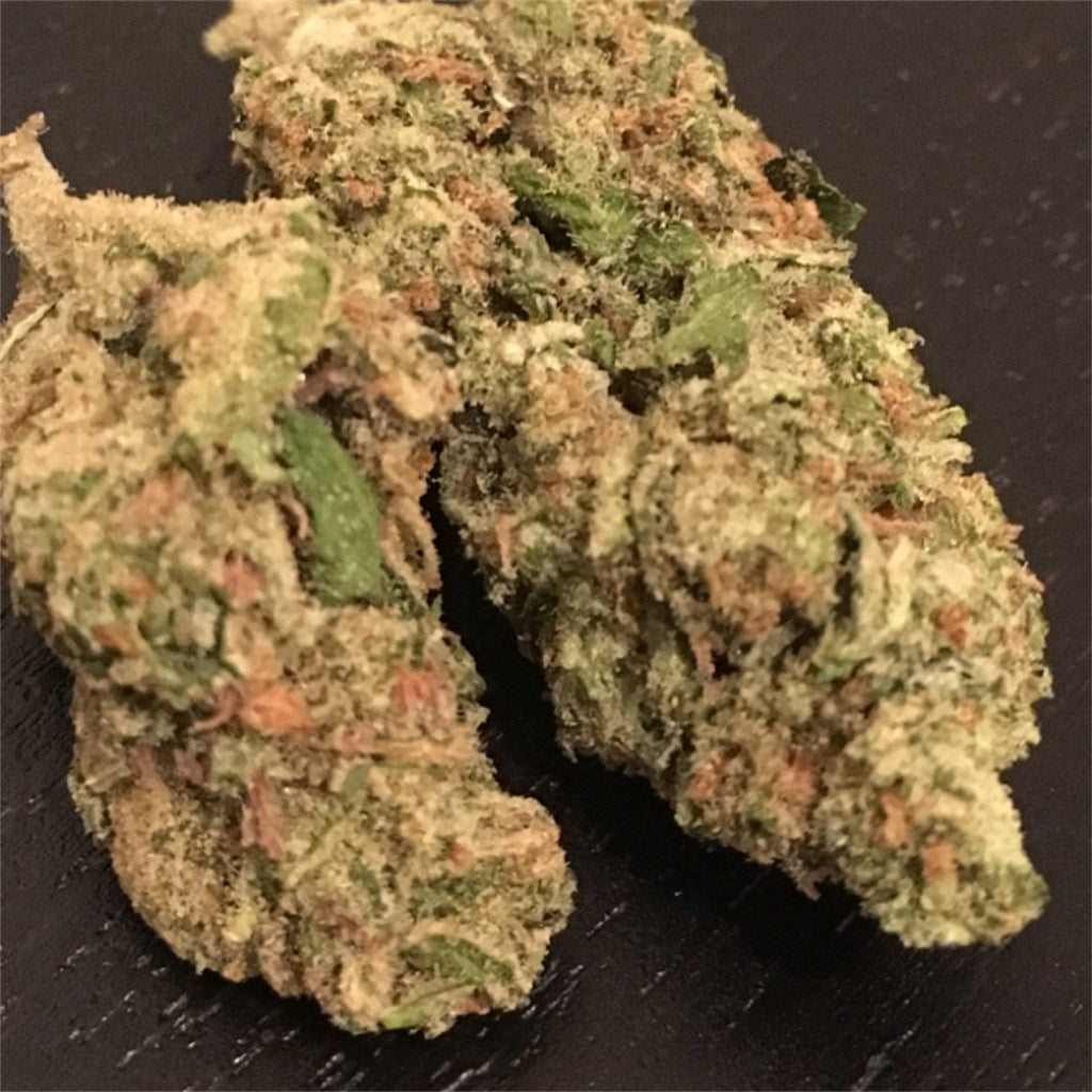 Old Mother Sativa marijuana strain flower with pine and tree fruit flavor and energetic / happy effects - Rare Harvest sativa