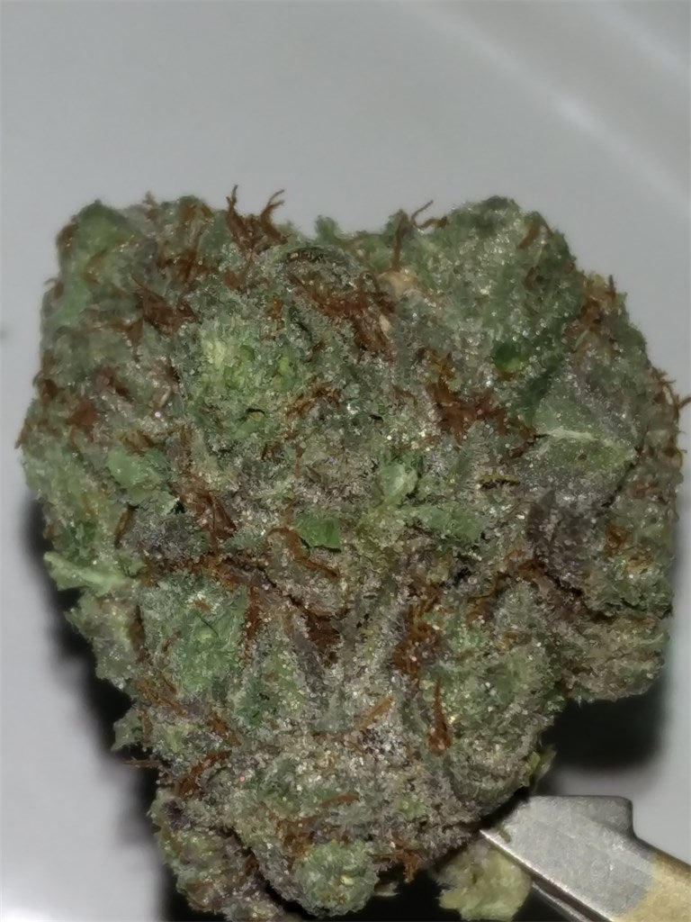 Omega marijuana strain flower with menthol and blueberry flavor and tingly / energetic effects - Rare Harvest hybrid