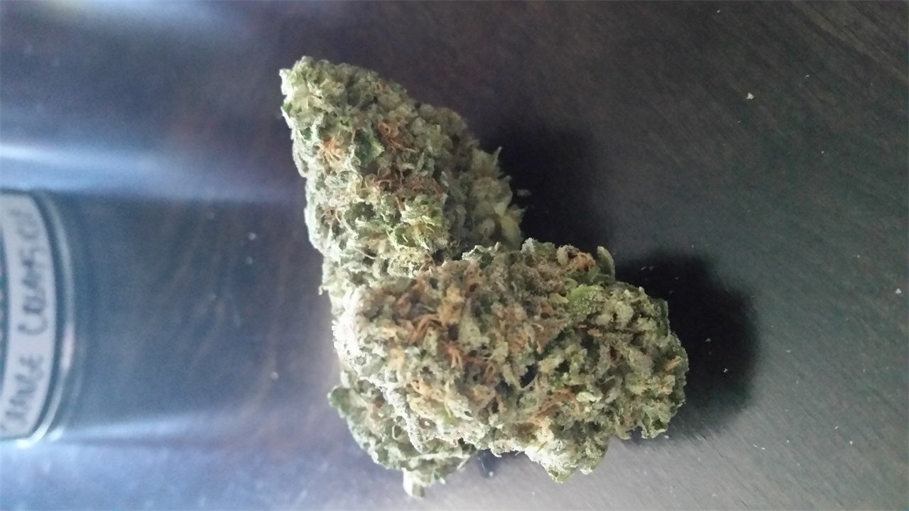 Orange Creamsicle marijuana strain flower with orange and citrus flavor and focused / uplifted effects - Rare Harvest hybrid