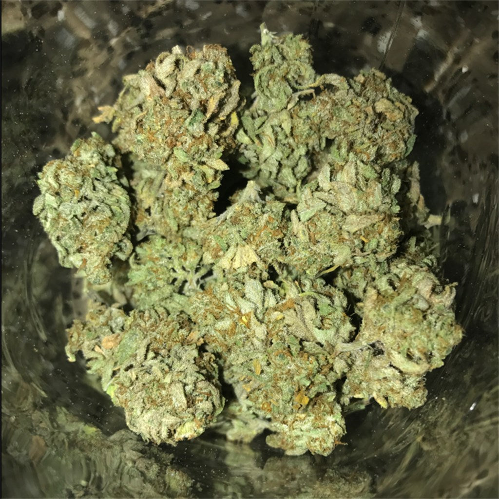 Orange Crush marijuana strain flower with orange and citrus flavor and happy / uplifted effects - Rare Harvest hybrid