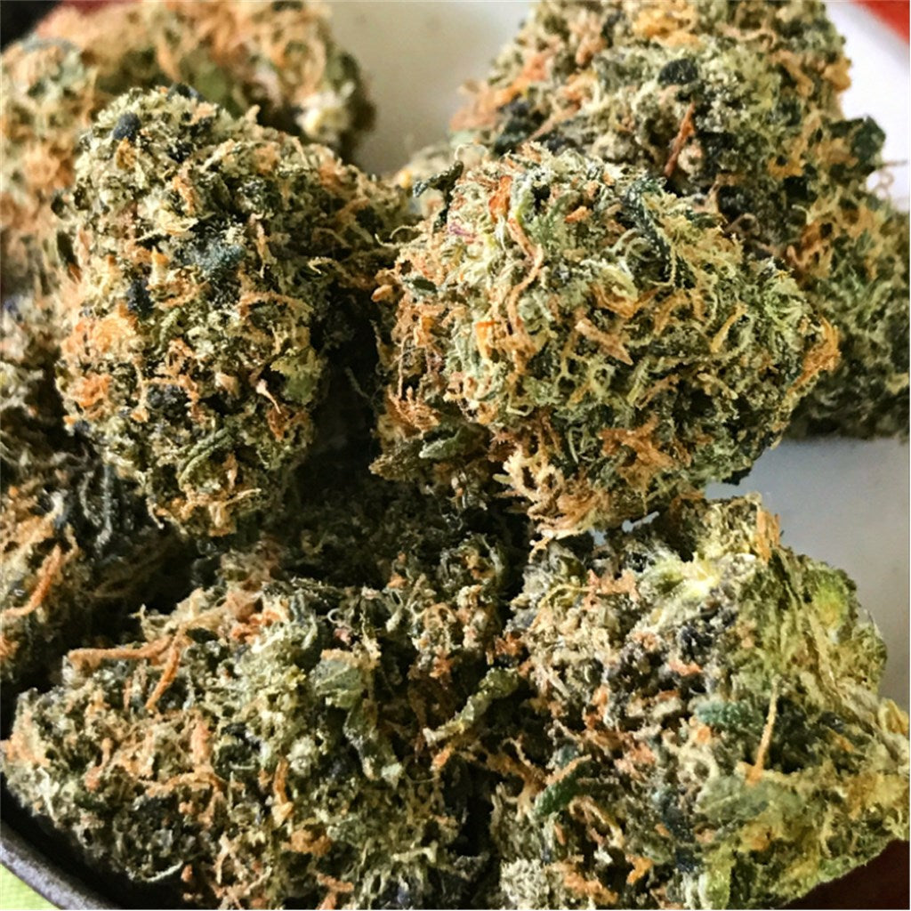 Orange Diesel marijuana strain flower with orange and diesel flavor and focused / energetic effects - Rare Harvest hybrid