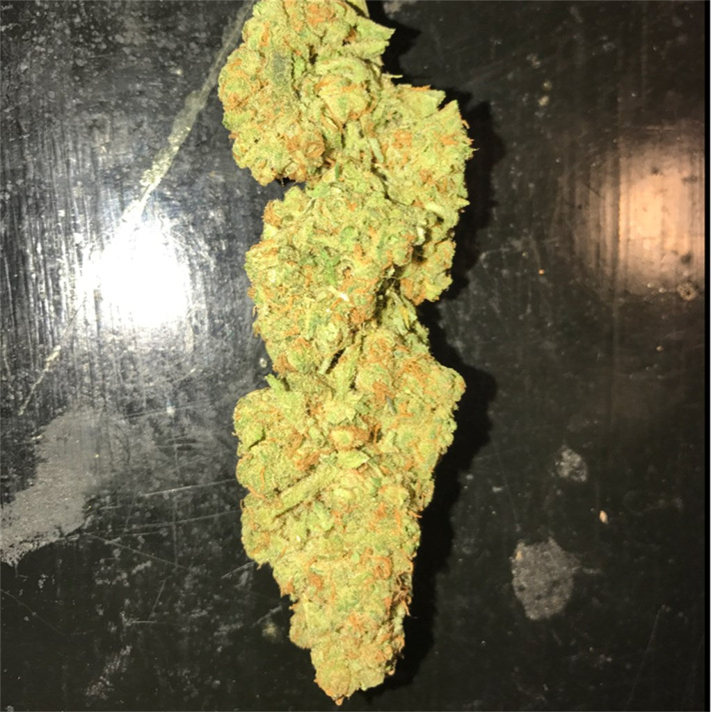 Orange Hill Special marijuana strain flower with orange and citrus flavor and focused / happy effects - Rare Harvest hybrid