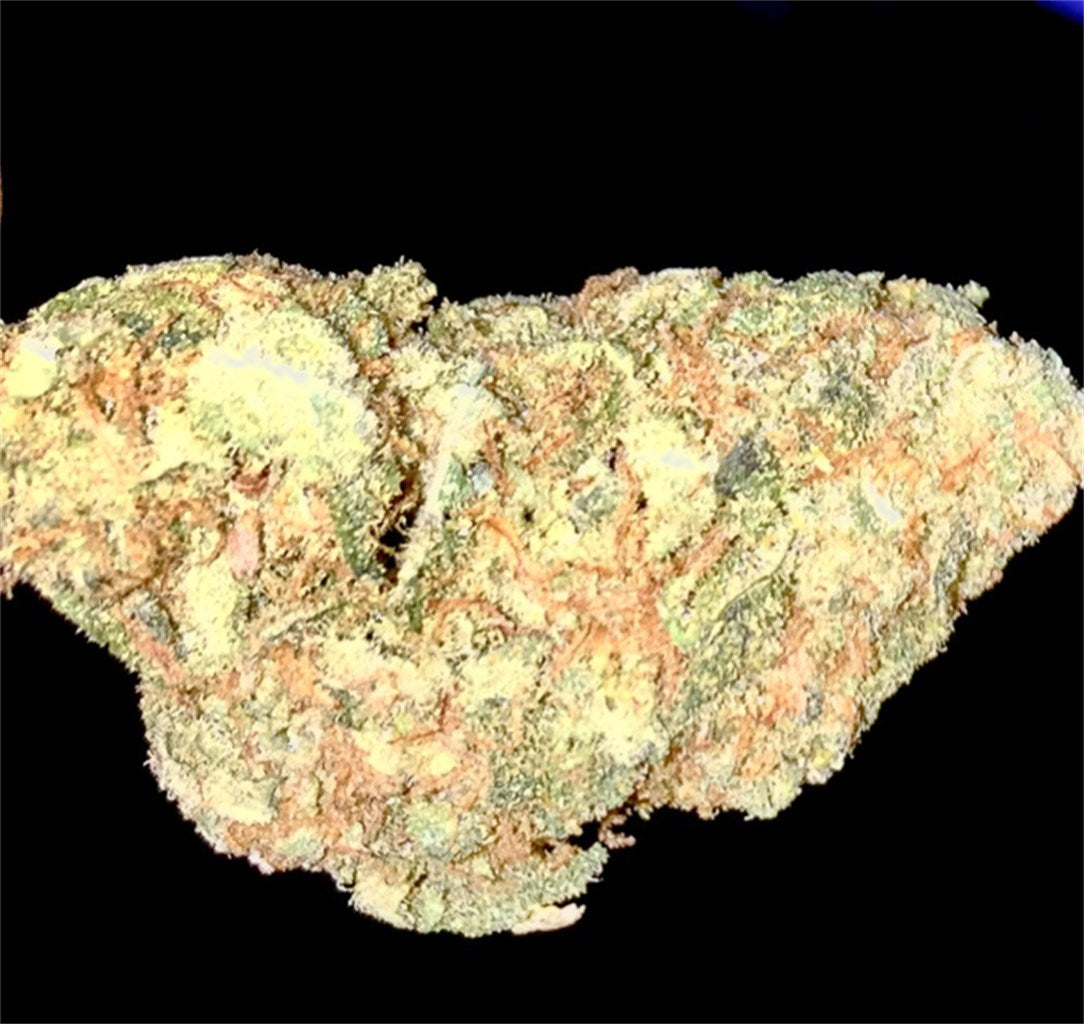 Orange Juice marijuana strain flower with orange and citrus flavor and uplifted / relaxed effects - Rare Harvest hybrid