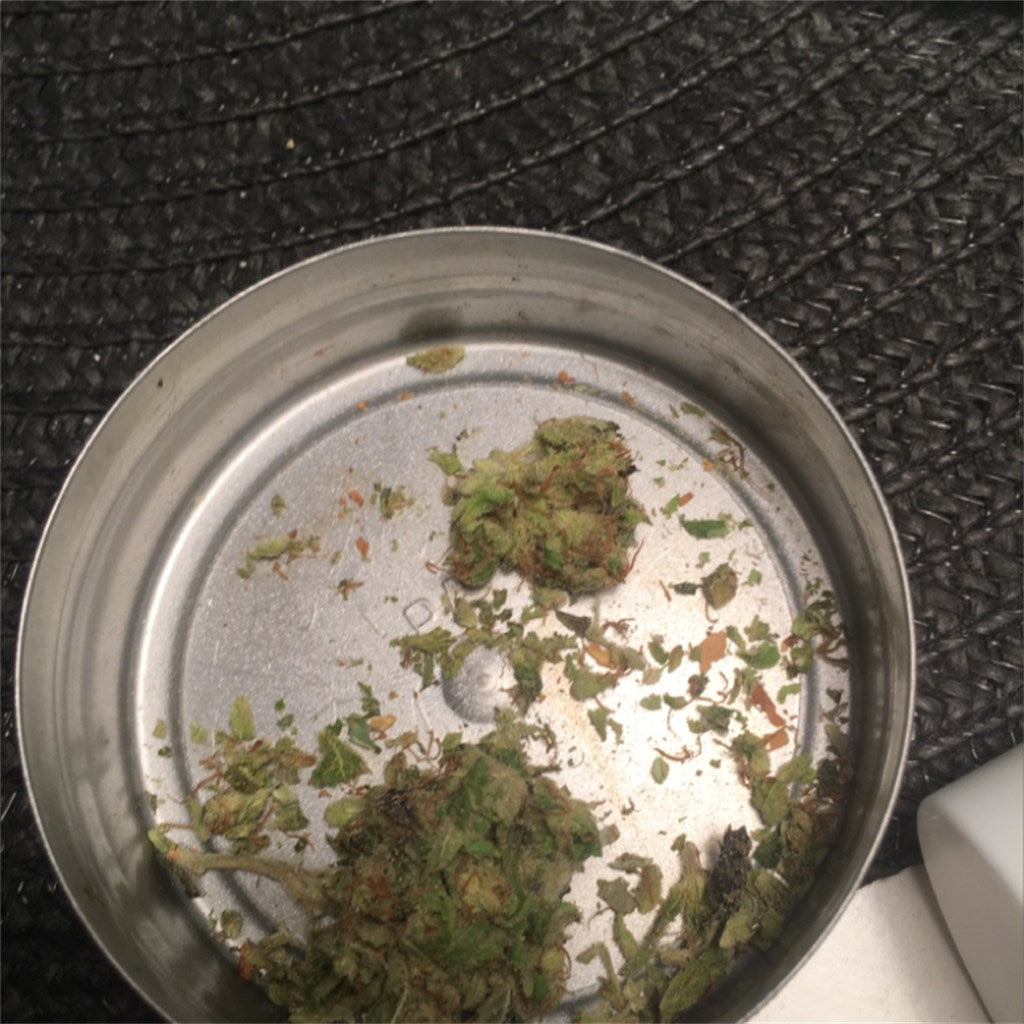 Orange Kush marijuana strain flower with orange and citrus flavor and sleepy / hungry effects - Rare Harvest indica