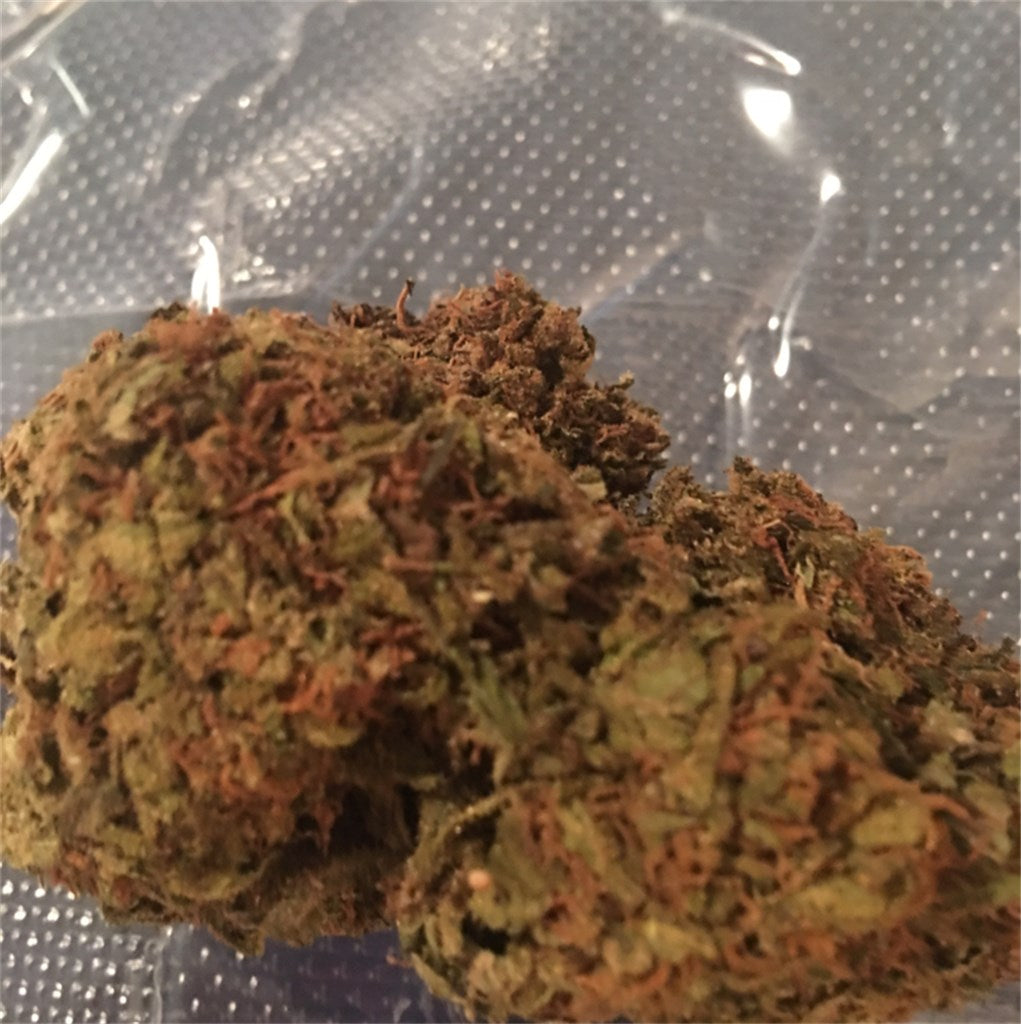 Orange Romulan marijuana strain flower with lemon and orange flavor and happy / euphoric effects - Rare Harvest indica
