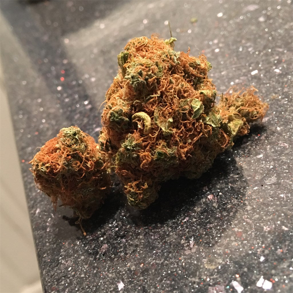 Orange Skunk marijuana strain flower with orange and skunk flavor and happy / hungry effects - Rare Harvest hybrid