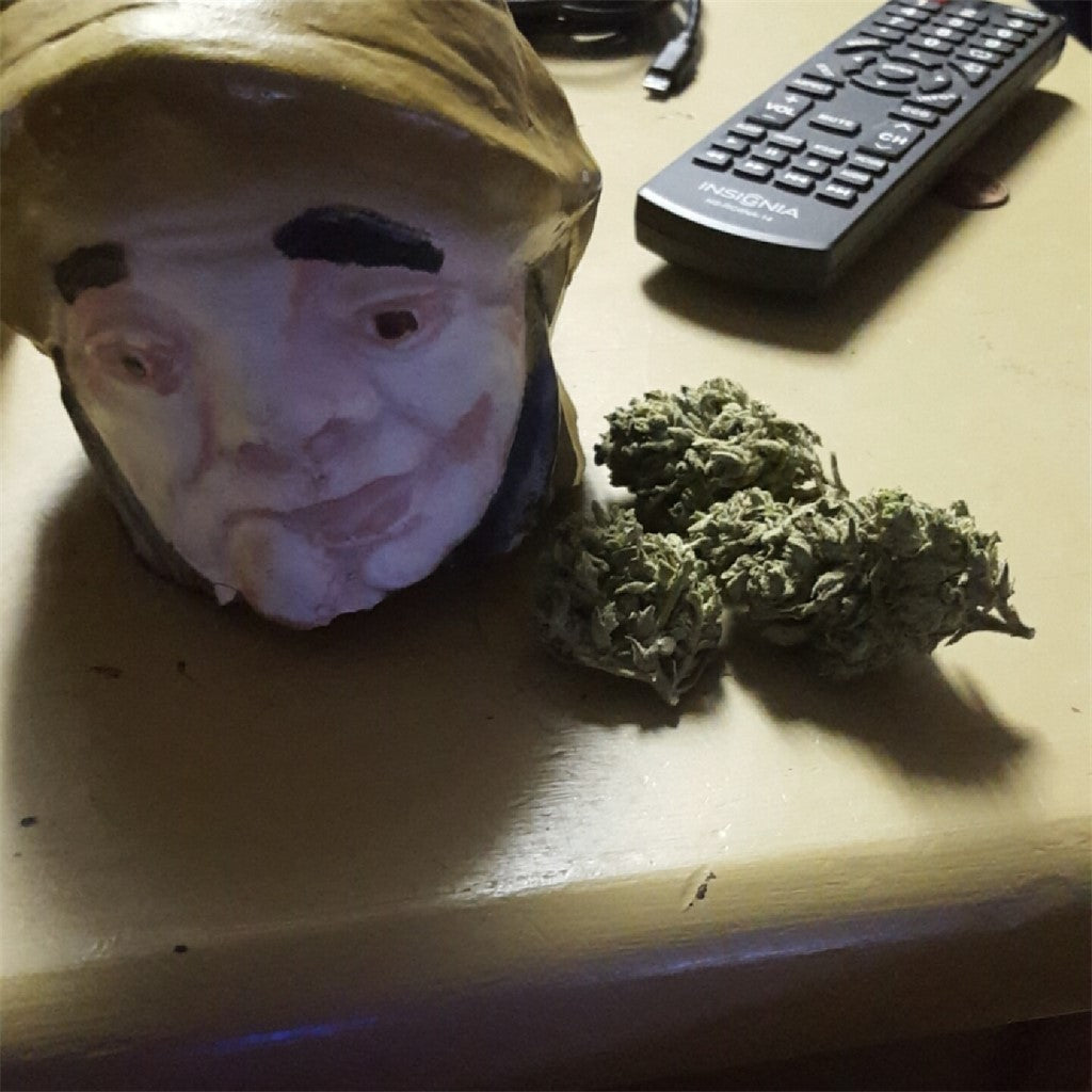 Organic Diesel marijuana strain flower with diesel and chemical flavor and talkative / uplifted effects - Rare Harvest hybrid