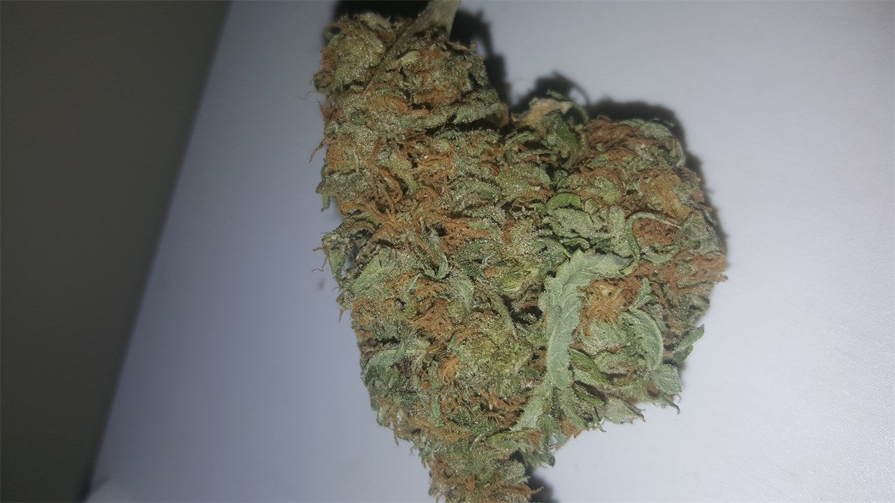 Orient Express marijuana strain flower with pineapple and lemon flavor and energetic / uplifted effects - Rare Harvest hybrid