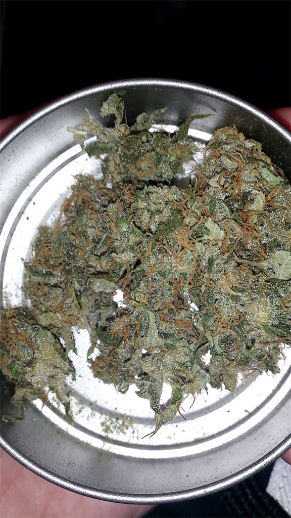 Ortega marijuana strain flower with diesel and earthy flavor and giggly / energetic effects - Rare Harvest indica