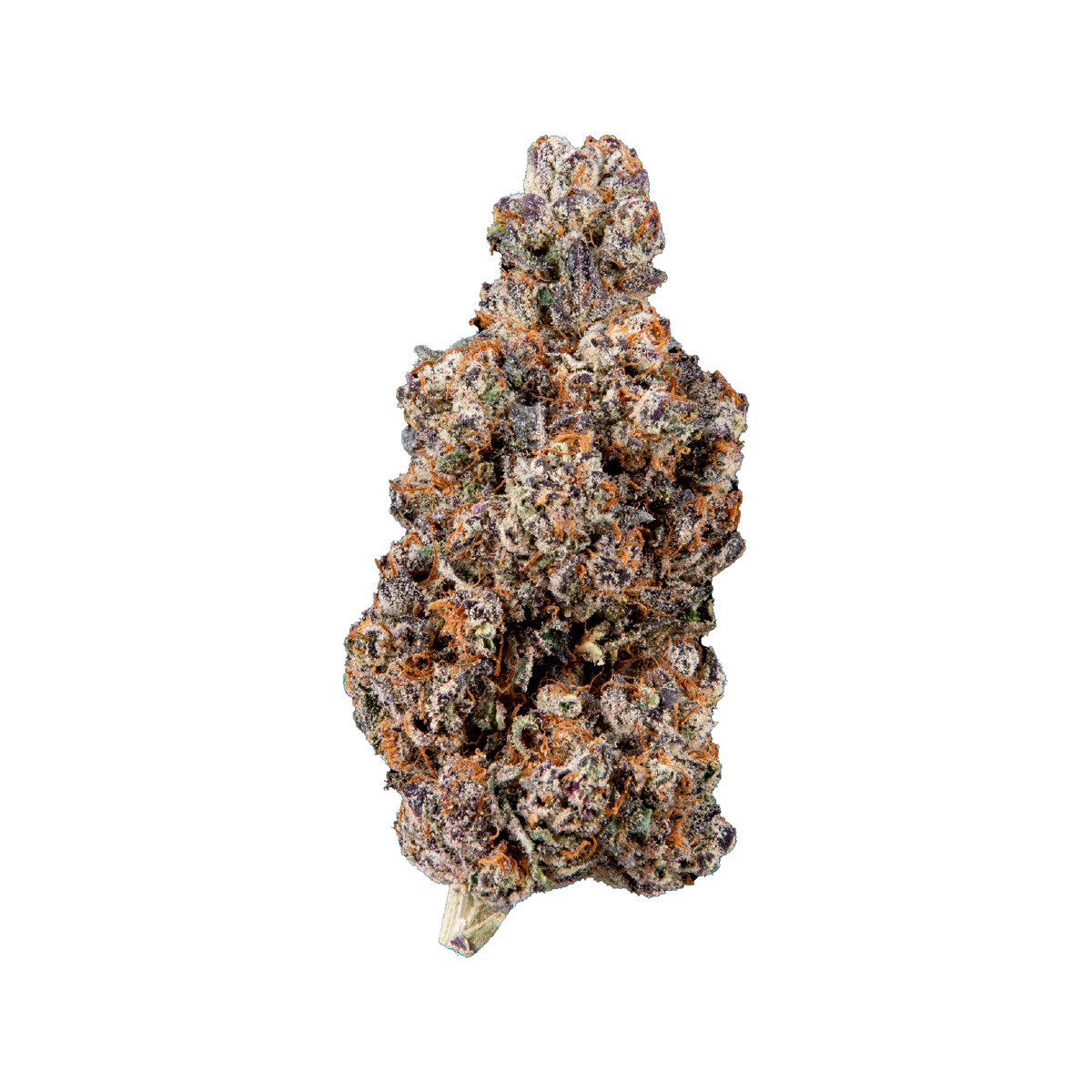 Dior marijuana strain flower with berry and blueberry flavor and energetic / uplifted effects - Rare Harvest hybrid