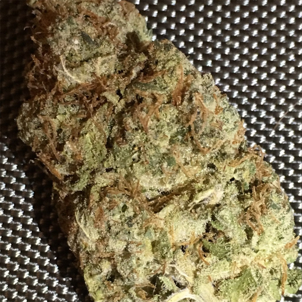 Outer Space marijuana strain flower with citrus and skunk flavor and energetic / focused effects - Rare Harvest sativa