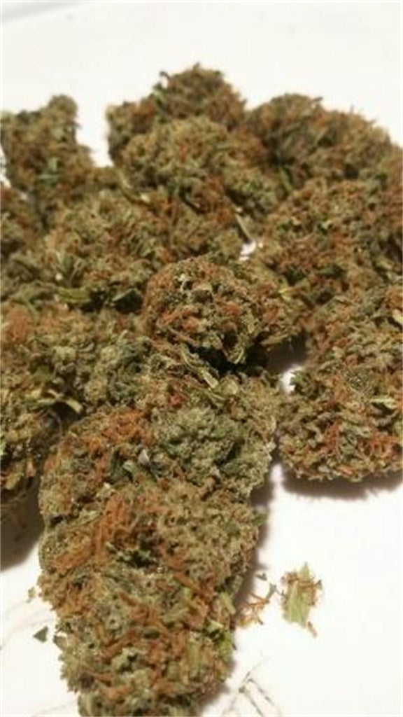 P-91 marijuana strain flower with chemical and pineapple flavor and euphoric / happy effects - Rare Harvest hybrid