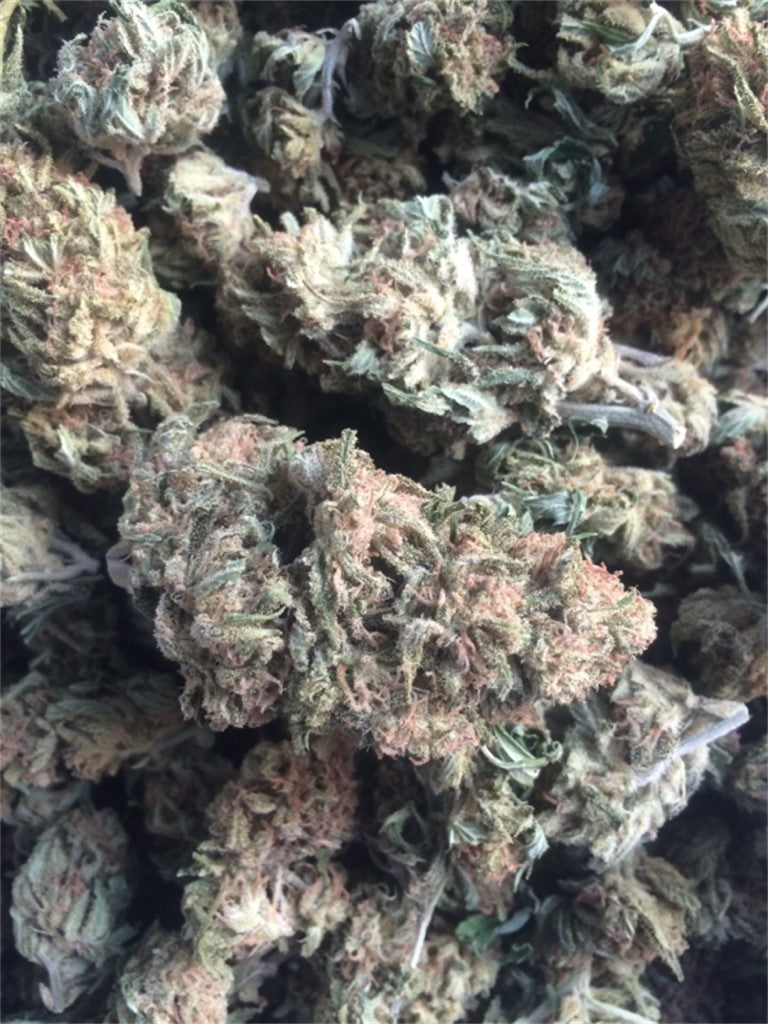 Pagoda marijuana strain flower with pineapple and mango flavor and energetic / euphoric effects - Rare Harvest sativa