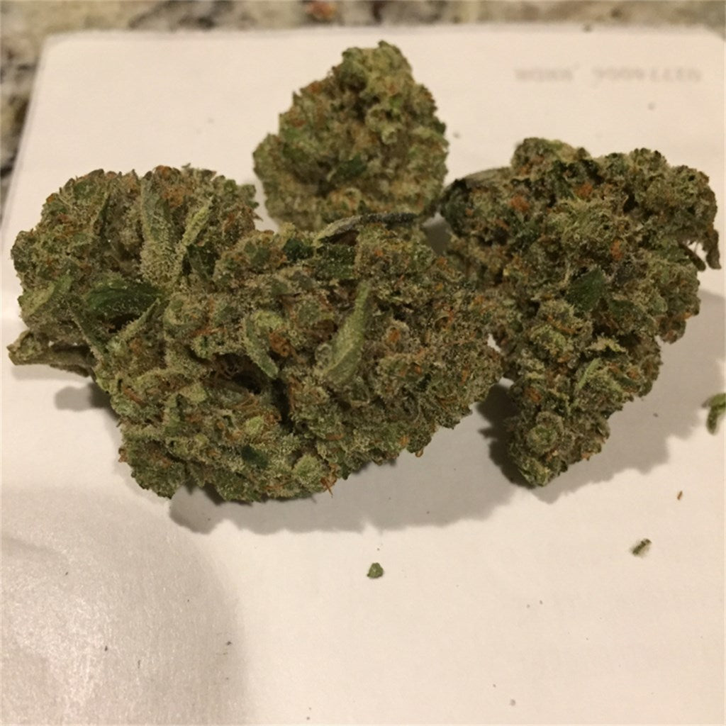 Panama Punch marijuana strain flower with orange and pineapple flavor and tingly / energetic effects - Rare Harvest sativa