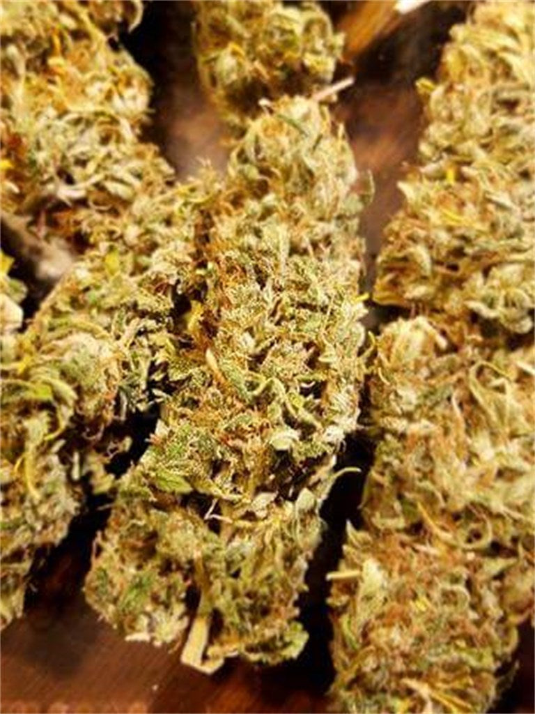 Panama Red marijuana strain flower with tea and pepper flavor and energetic / talkative effects - Rare Harvest sativa