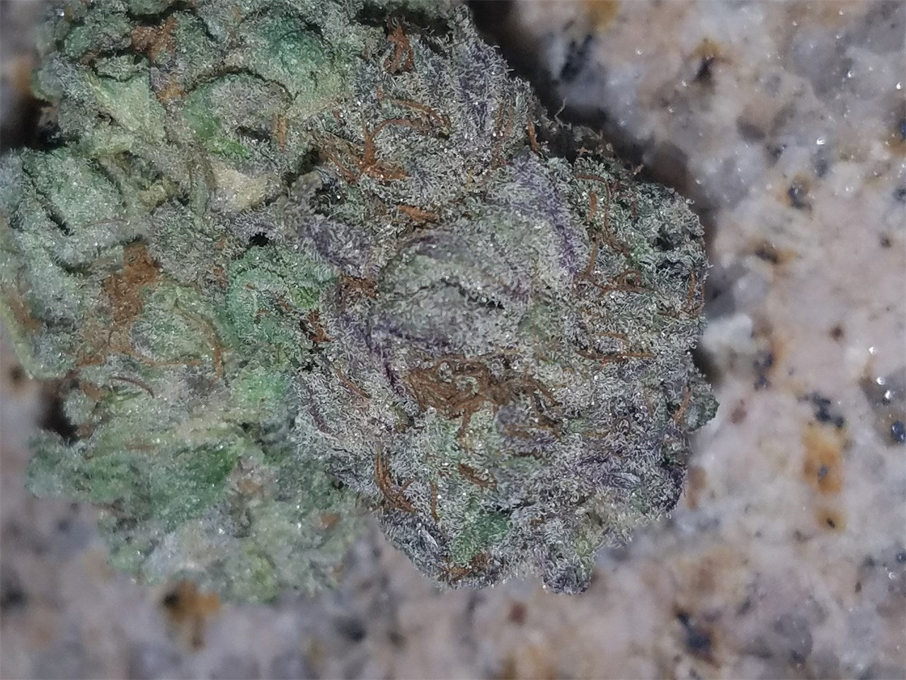 Papa's OG marijuana strain flower with pungent and flowery flavor and relaxed / sleepy effects - Rare Harvest indica
