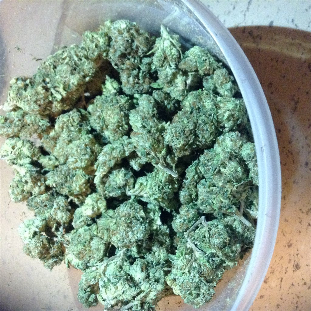 Paris XXX marijuana strain flower with blueberry and pineapple flavor and energetic / creative effects - Rare Harvest indica