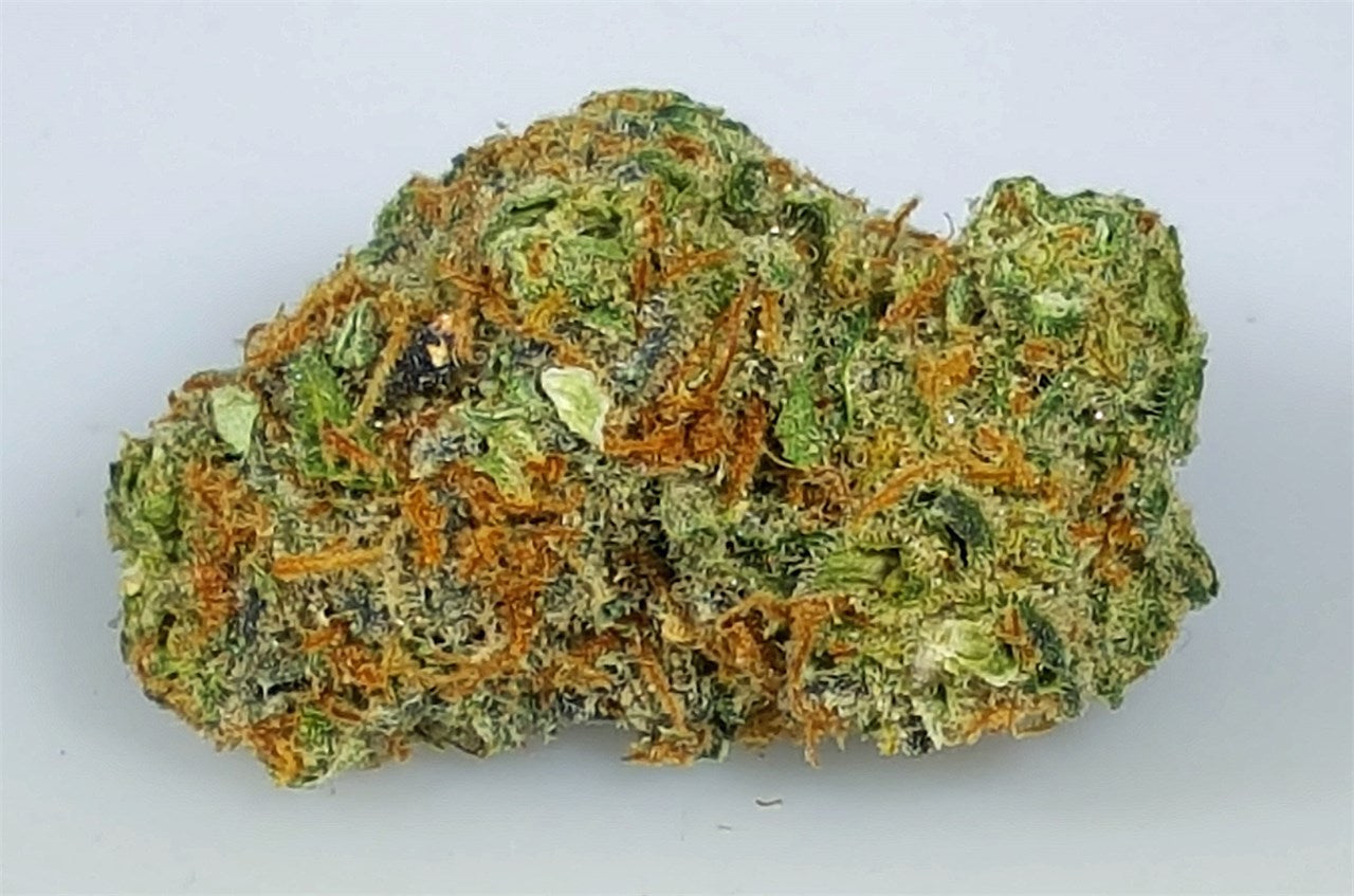 Pennywise marijuana strain flower with pepper and woody flavor and relaxed / sleepy effects - Rare Harvest indica