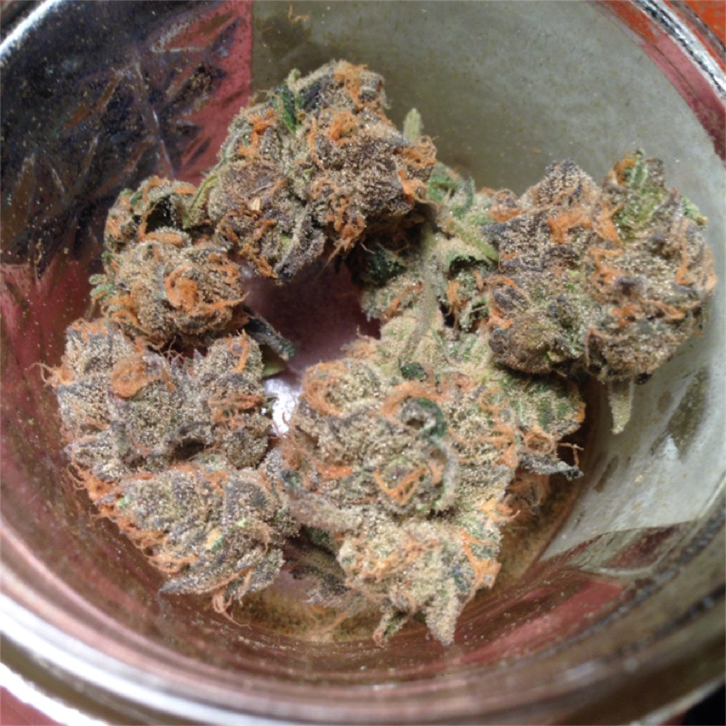 Peppermint Cookies marijuana strain flower with mint and sweet flavor and giggly / uplifted effects - Rare Harvest hybrid