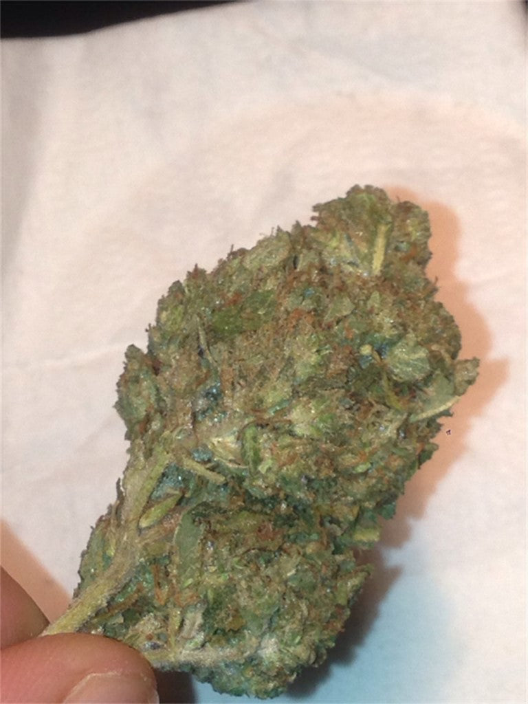 Petrolia Headstash marijuana strain flower with tar and pungent flavor and relaxed / euphoric effects - Rare Harvest indica