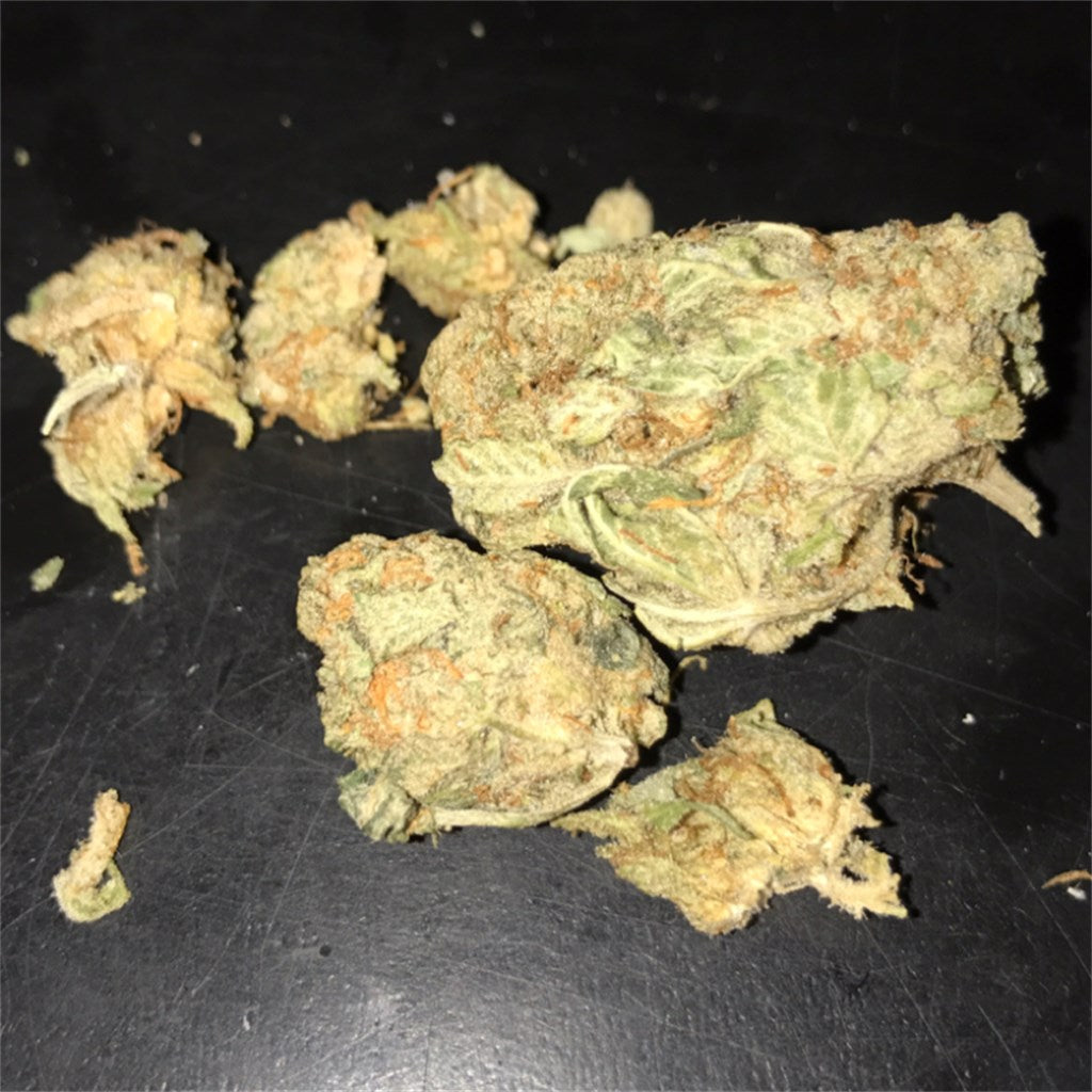 Phantom OG marijuana strain flower with flowery and pine flavor and sleepy / relaxed effects - Rare Harvest indica