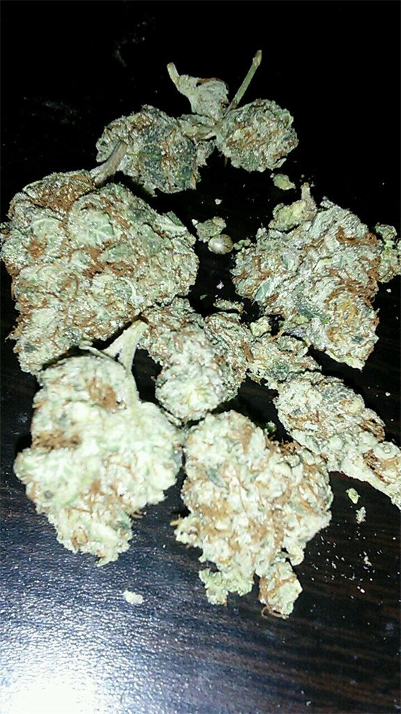 Pineapple Cookies marijuana strain flower with butter and pineapple flavor and aroused / creative effects - Rare Harvest hybrid