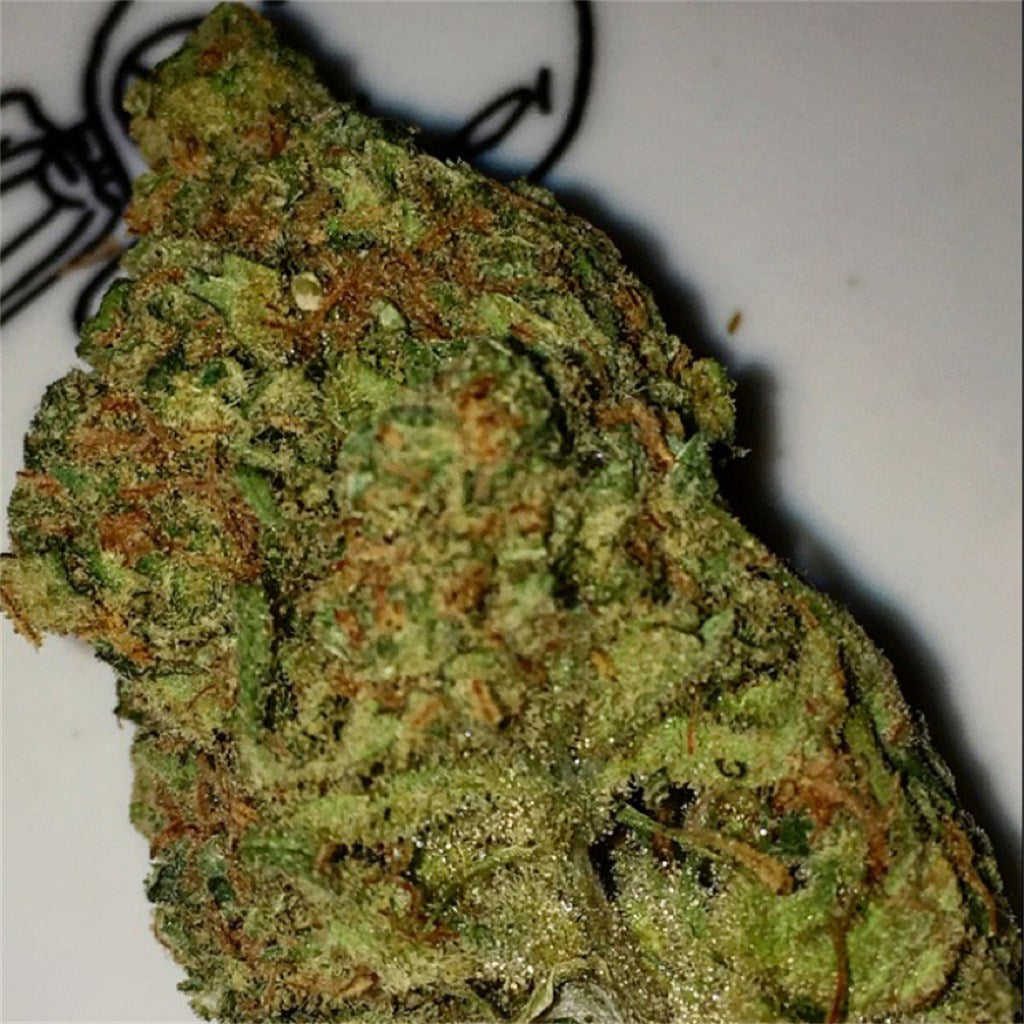Pineapple Diesel marijuana strain flower with pineapple and diesel flavor and uplifted / energetic effects - Rare Harvest hybrid