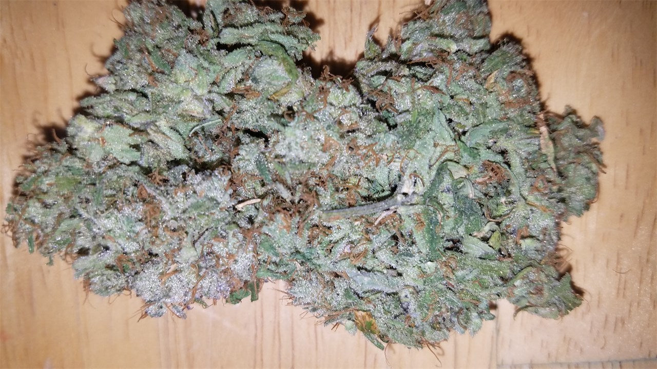 Pineapple Fields marijuana strain flower with tropical and pineapple flavor and giggly / uplifted effects - Rare Harvest sativa