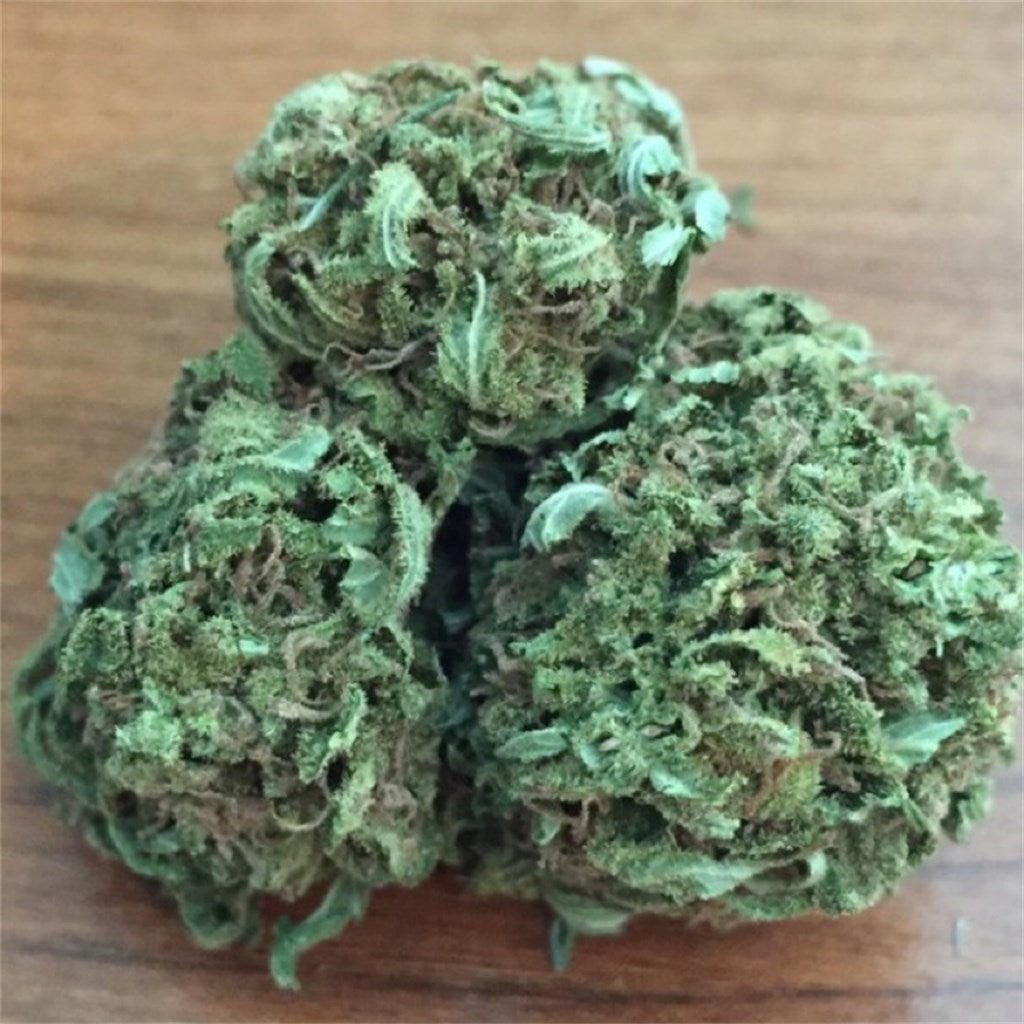 Pineapple Haze marijuana strain flower with pineapple and tropical flavor and energetic / uplifted effects - Rare Harvest sativa