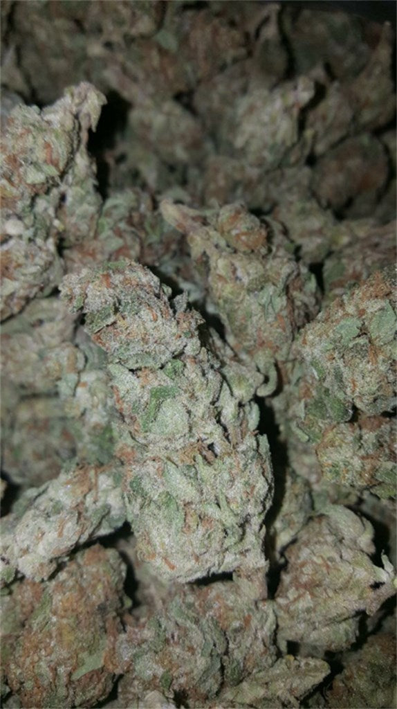 Pineapple Kush marijuana strain flower with pineapple and tropical flavor and happy / giggly effects - Rare Harvest hybrid