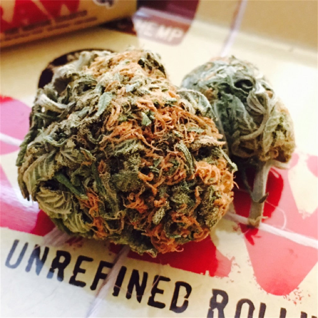 Pineapple Super Silver Haze marijuana strain flower with pineapple and citrus flavor and energetic / focused effects - Rare Harvest sativa