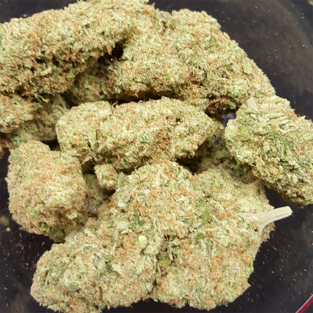 Pineapple Trainwreck marijuana strain flower with pineapple and tropical flavor and talkative / creative effects - Rare Harvest hybrid