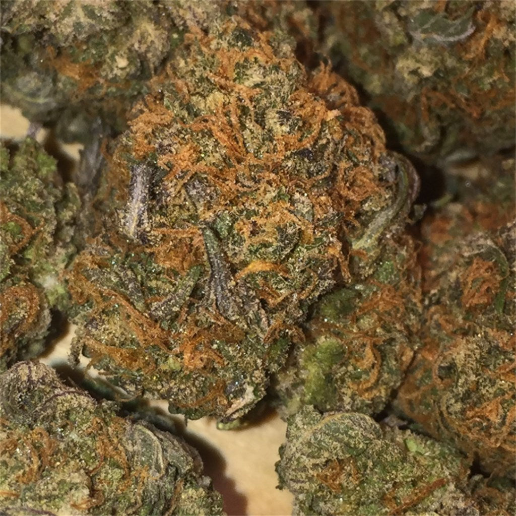 Pink Berry marijuana strain flower with berry and flowery flavor and sleepy / relaxed effects - Rare Harvest indica