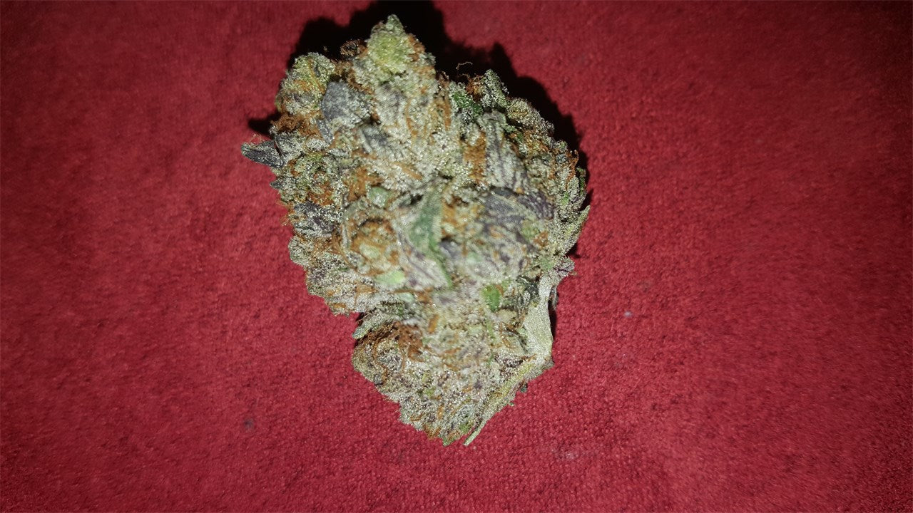 Pink Champagne marijuana strain flower with rose and plum flavor and sleepy / relaxed effects - Rare Harvest indica