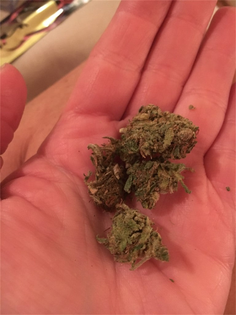 Pink Panther marijuana strain flower with pear and peach flavor and happy / euphoric effects - Rare Harvest hybrid